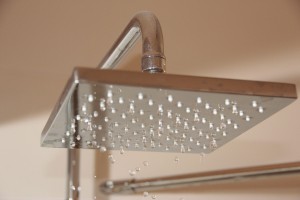Douche de tête HANSGROHE